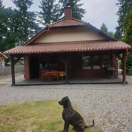 Agroturystyka Nad Stawem Dom W Borach Tucholskich Casa de Férias